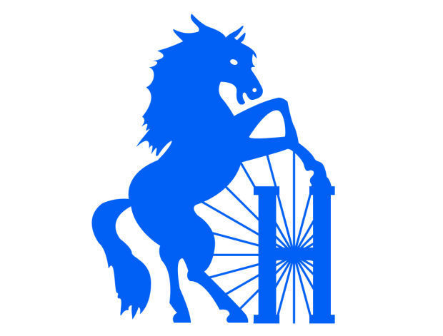 Havre Blue Ponies